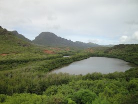 Alekoko Fishpond Today