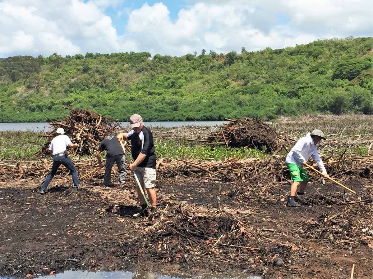 Volunteers Working on our Riparian Project at the&nbsp;Refuge