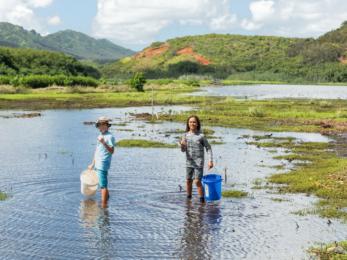 Welcoming the Season