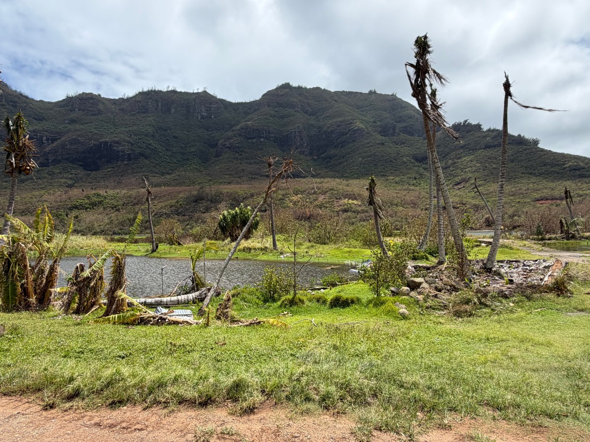 Alakoko After Hurricane&nbsp;Lowell