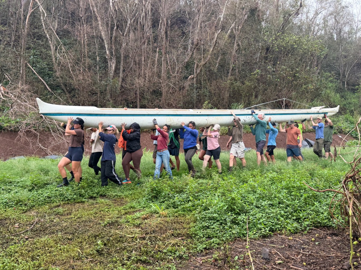 After Hurricane Lowell, You Showed&nbsp;Up